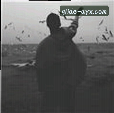 孙磊